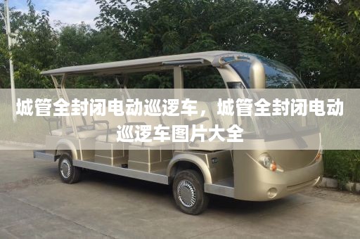 城管全封闭电动巡逻车，城管全封闭电动巡逻车图片大全