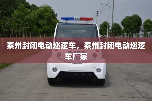 泰州封闭电动巡逻车，泰州封闭电动巡逻车厂家